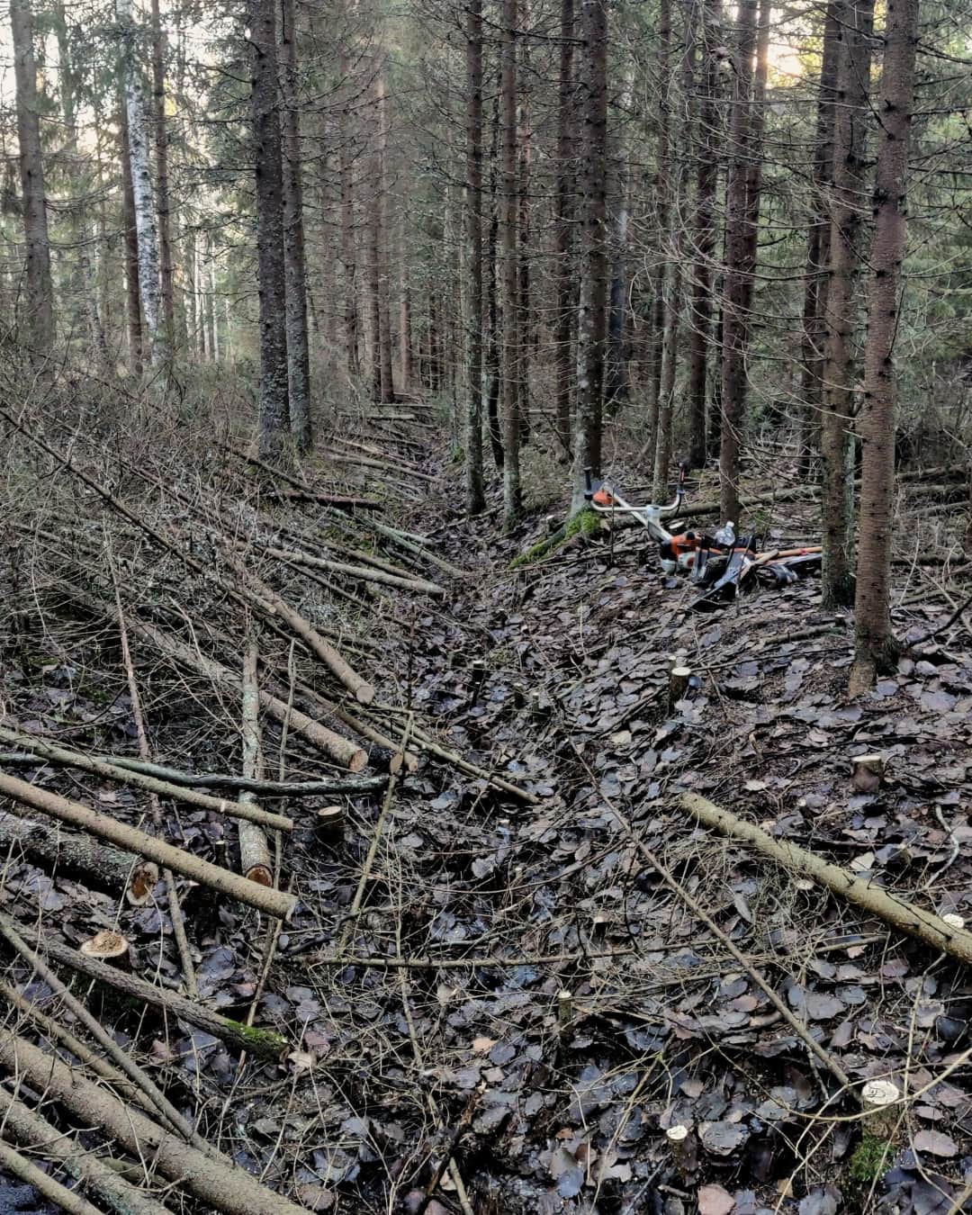 Ojan avaus ennakkoraivauksen yhteydessä